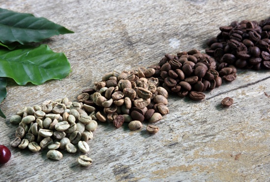 coffee bean industry